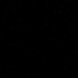 Meet your Posher, Isha